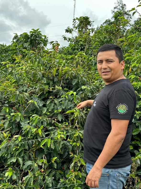 Basecamp Lord Voldemort - Imagen 2